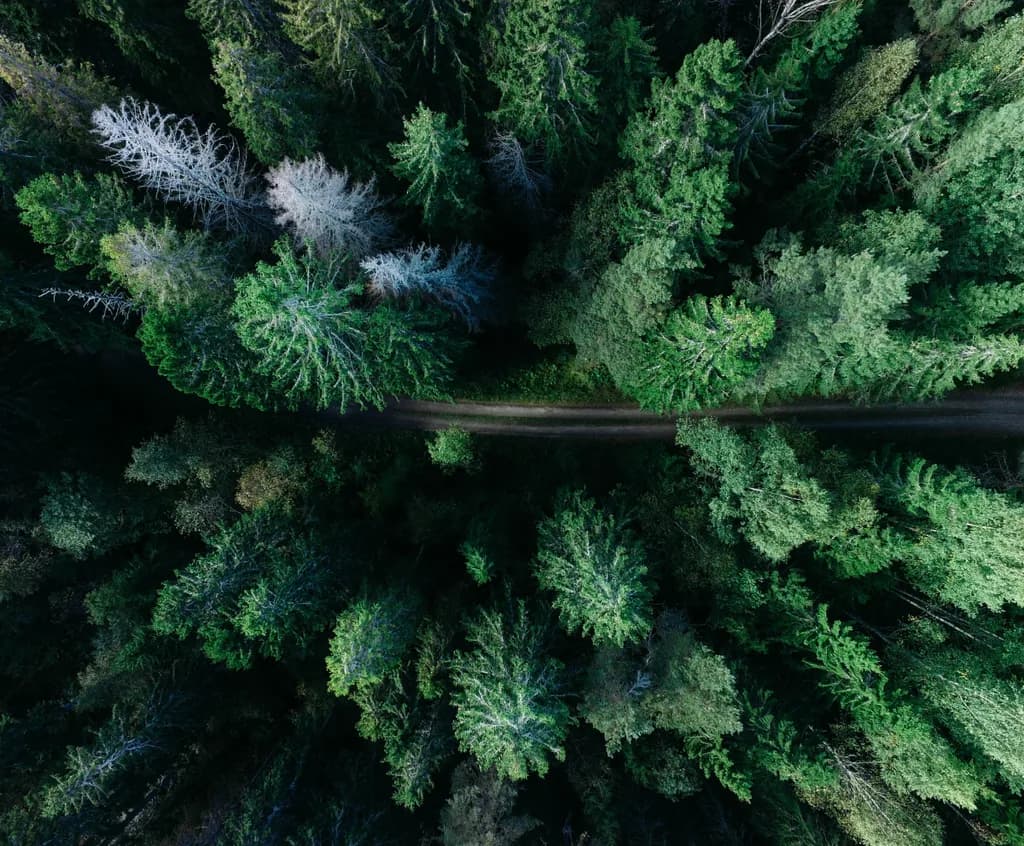 Newsletter signup section image
