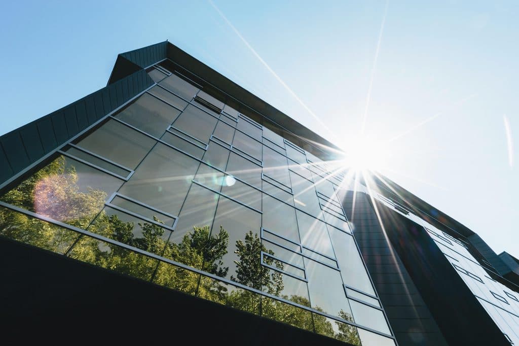 Sustainable Leadership Masterclass – Leadership Skills für den nachhaltigen Wandel